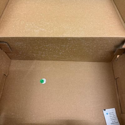 Before: mould spots inside a cardboard shoe box